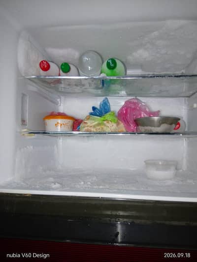 Haier Stylish Cooling Frost-Free Refrigerator – 10 Years Warranty