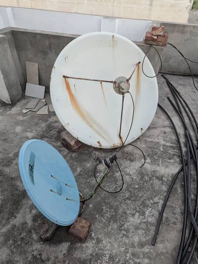 dish antina