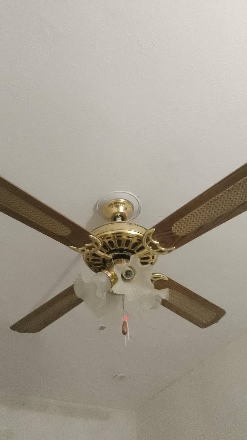 Premium Ceiling fan 0