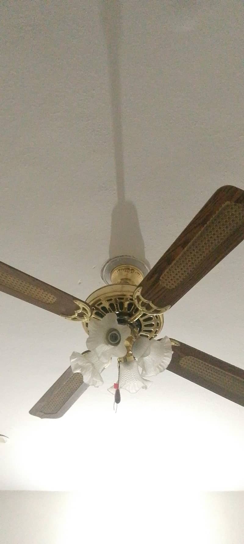 Premium Ceiling fan 1