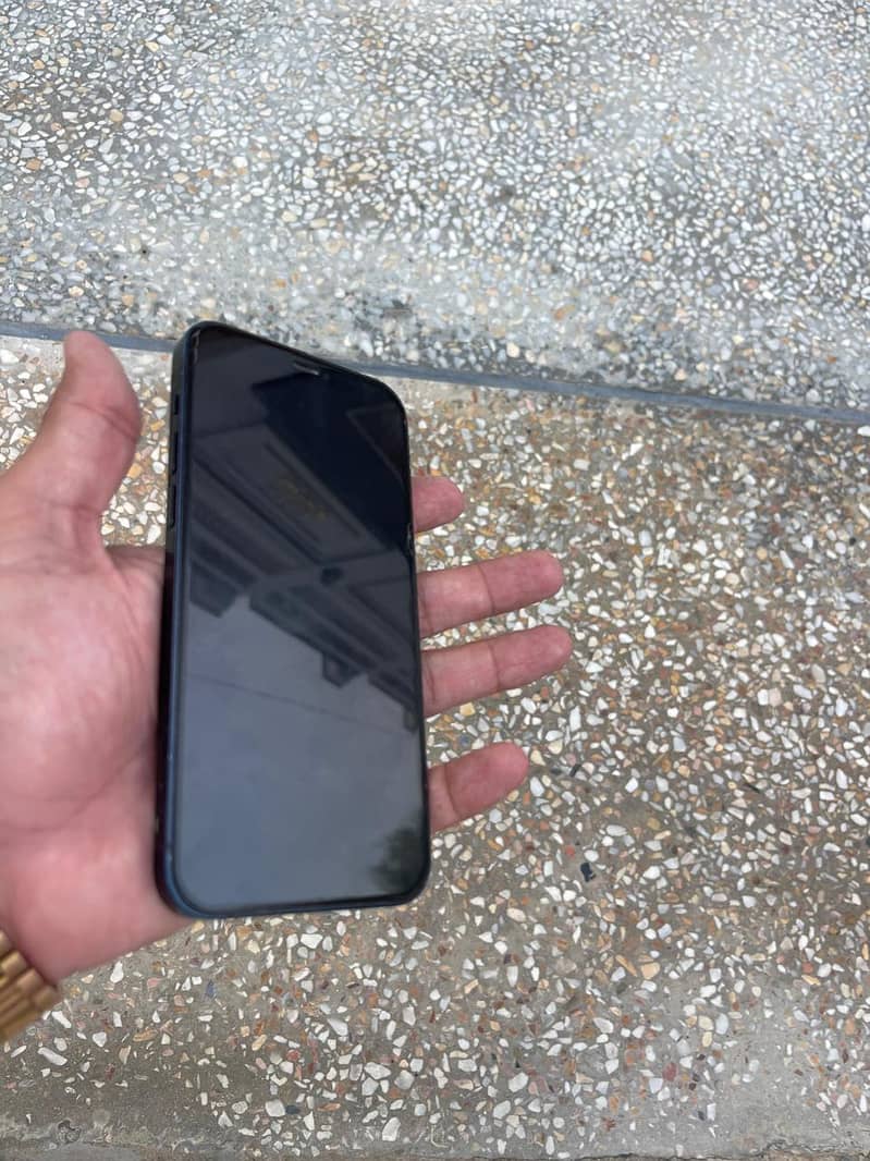 Apple iPhone 12 1