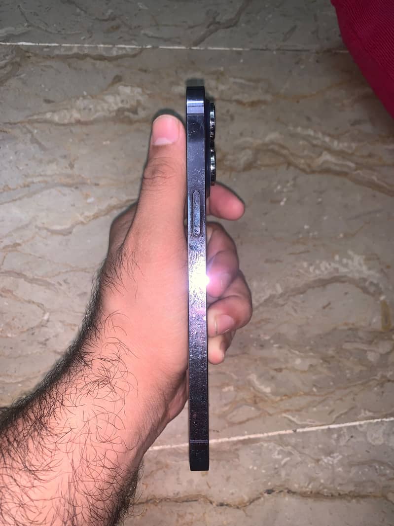 Apple iPhone 14 Pro Max 12