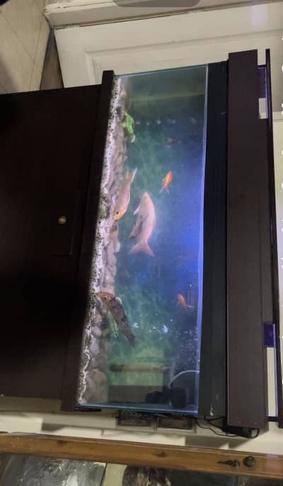 4 Ft Aquarium with Wooden Cabinet + Complete Accessories(no fishes)