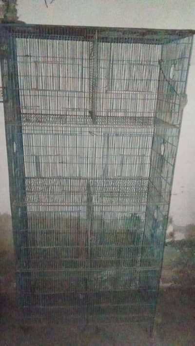parrot cage