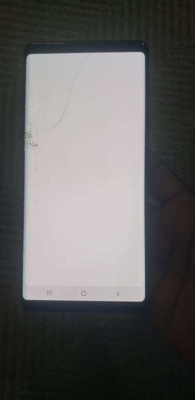 Samsung Note 9 panel Disply
