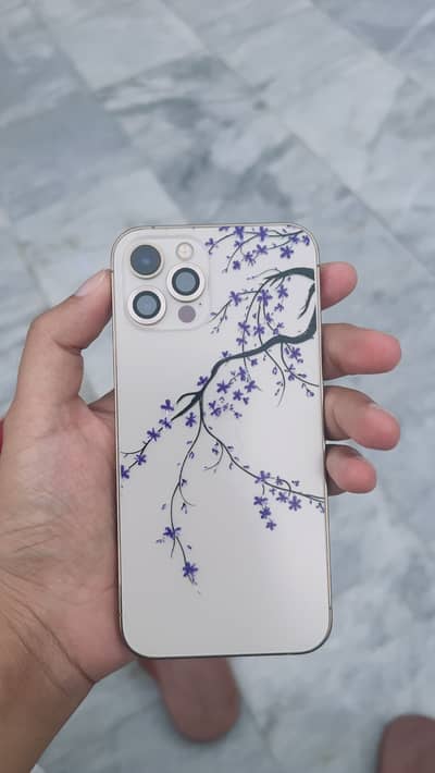 Apple iPhone 12 Pro