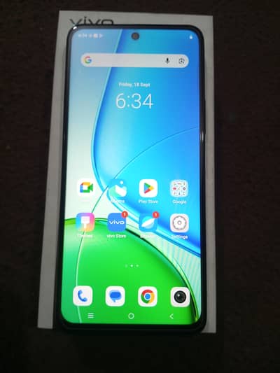Vivo Y29