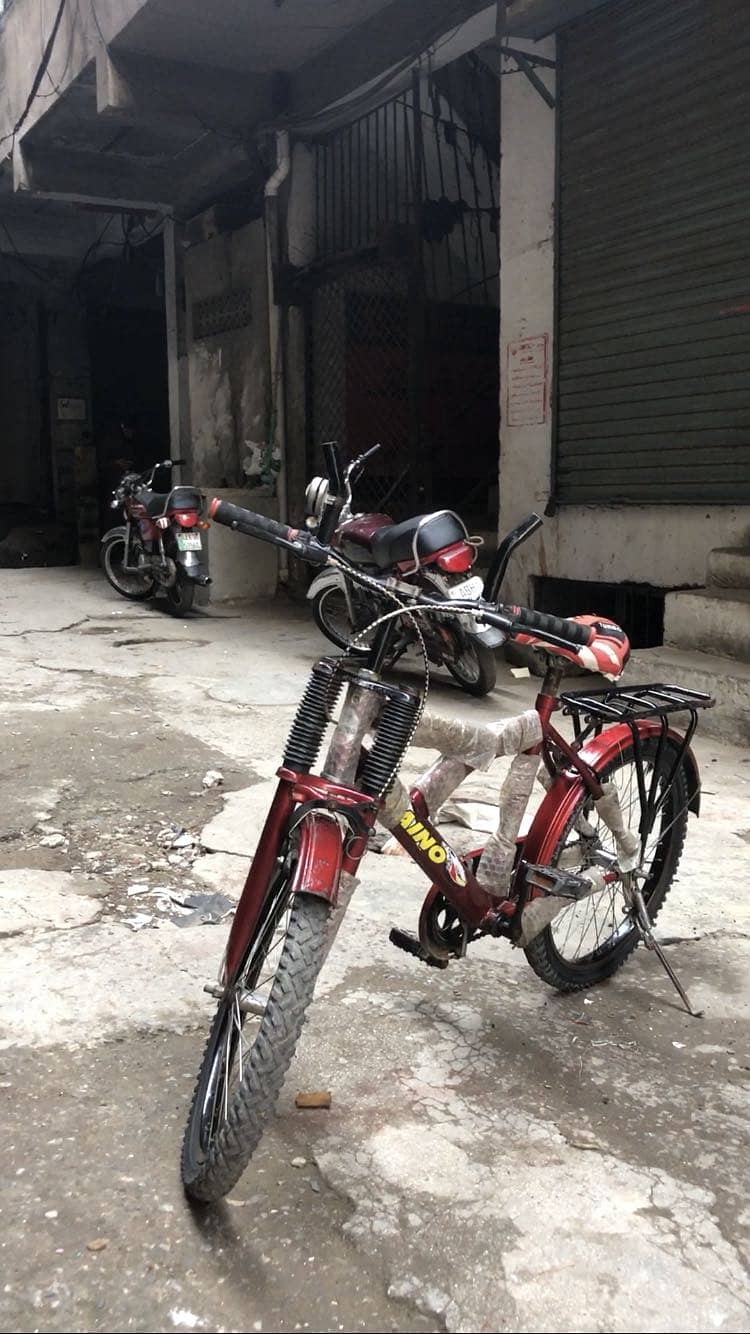 Cycle 1