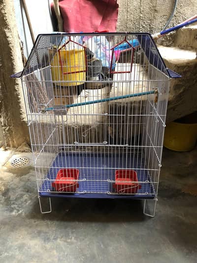 cage 1 potition with box wala hai