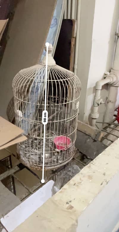 Expensive Bird cage for Macaw and Grey parrot and other pets