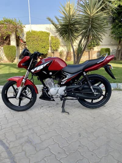 YAHAMA YBR BRAND NEW CONDITION.