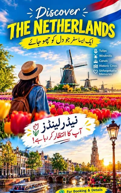 Tourist Visa Assistance USA  / UK/ Turkey Visit Visa , Europe  service