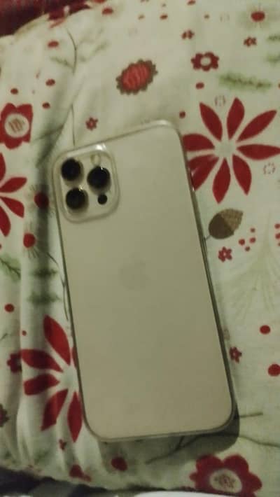 Apple iPhone 12 Pro Max