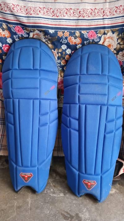 Hard Ball Cricket kit