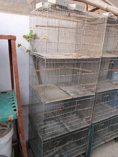 bird cage