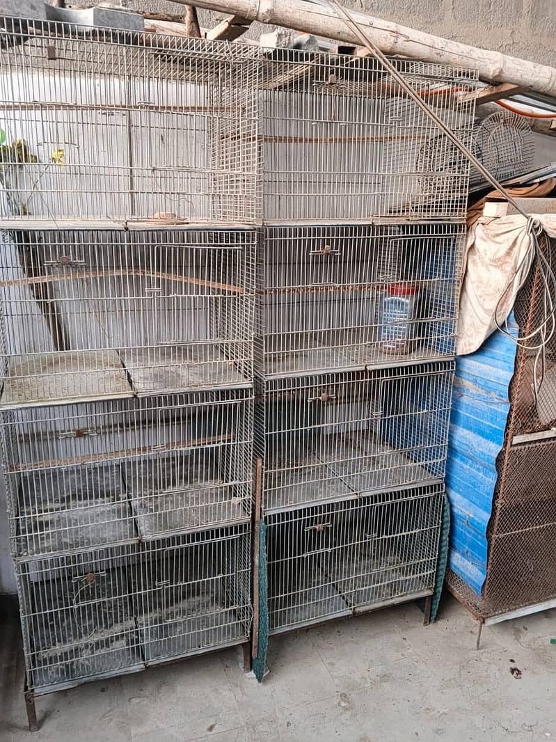 bird cage 1