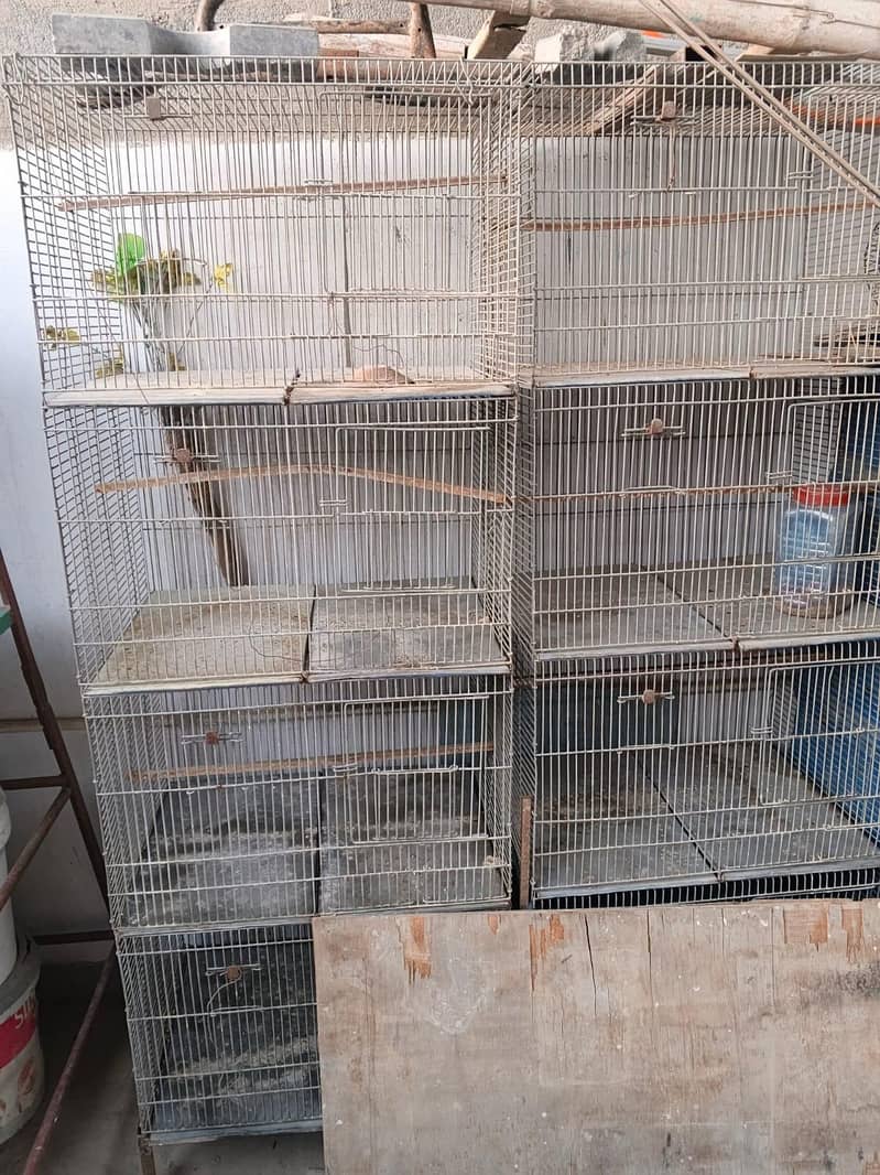 bird cage 2