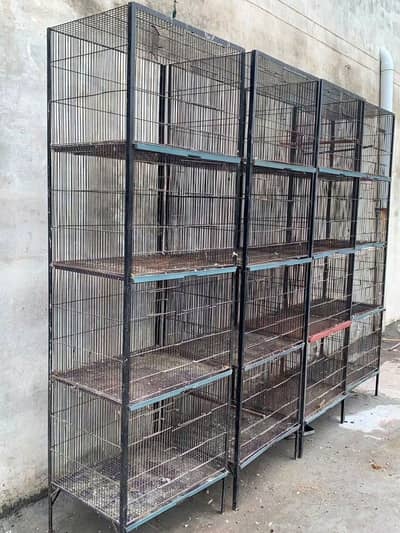 4 portion cages