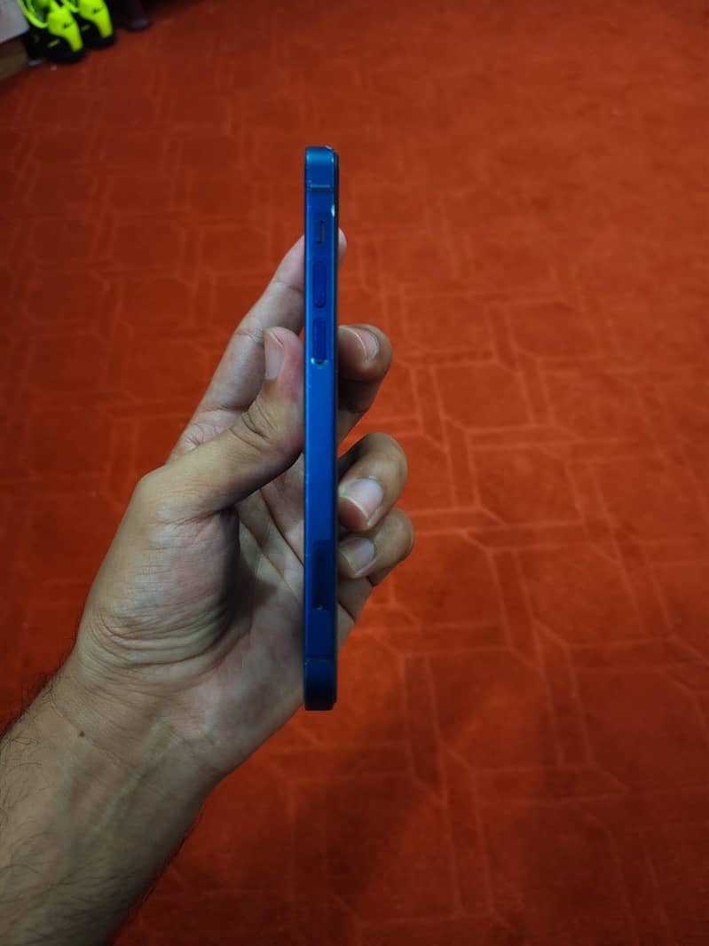 Apple iPhone 12 1