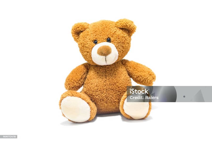 cute bear 0