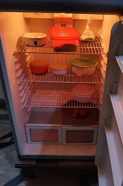 Kenwood fridge jambo