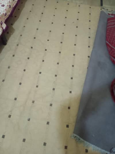 carpet