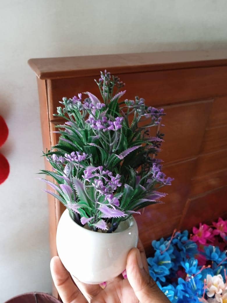 Artificial plants 6