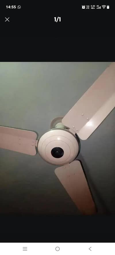 pak fan