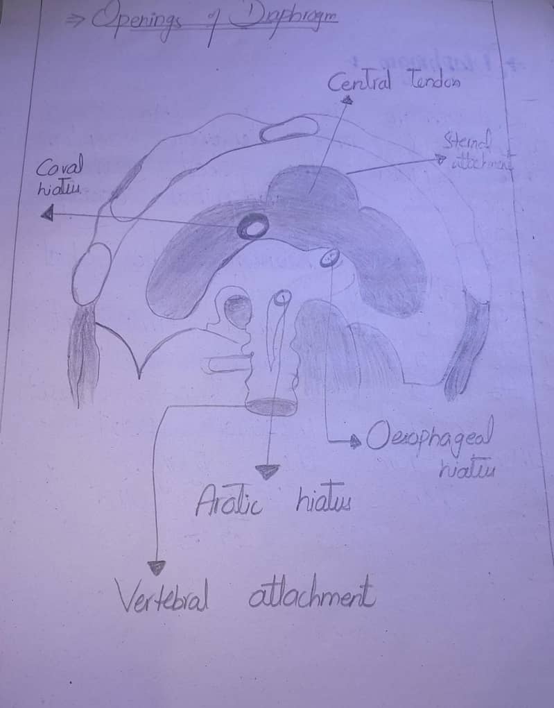 Assignment 5