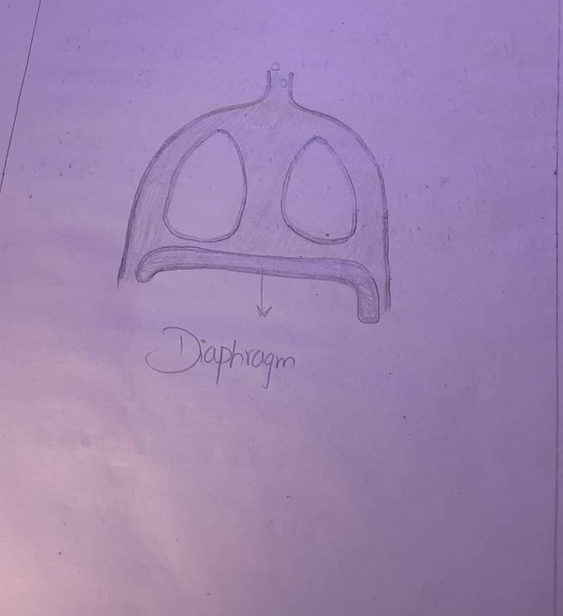 Assignment 6