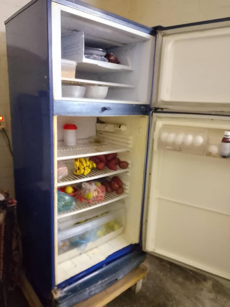 PEL Refrigerator 1