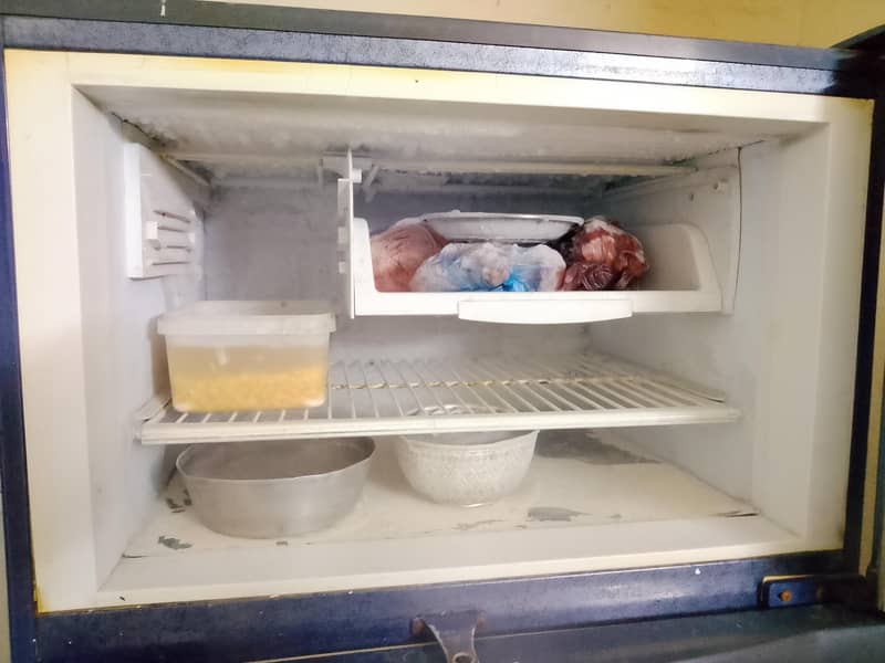 PEL Refrigerator 2