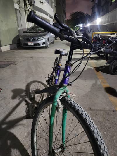 Malaysian Antique piece cycle