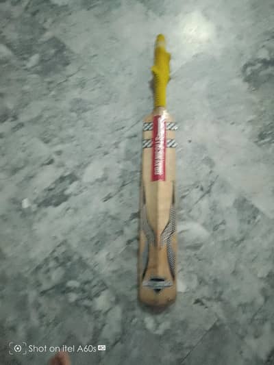 cricket bat