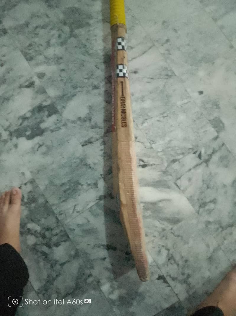 cricket bat 1