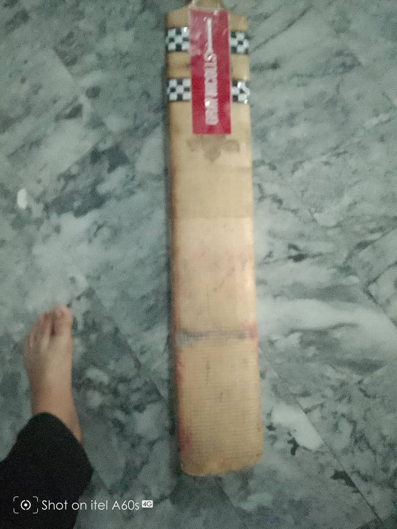 cricket bat 2