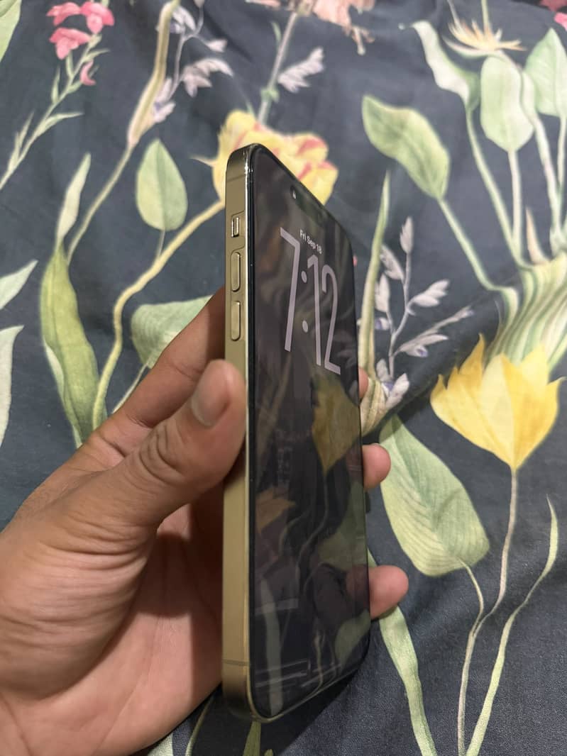 Apple iPhone 14 Pro Max 1