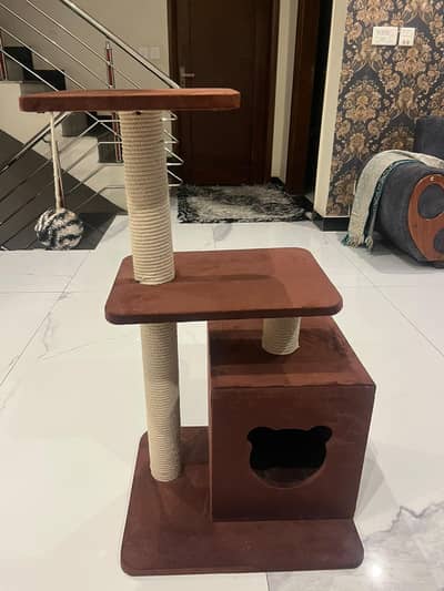 cat house