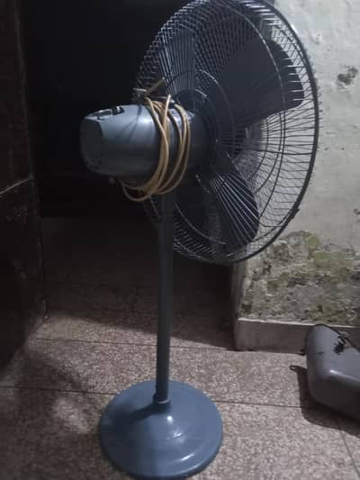 for sale