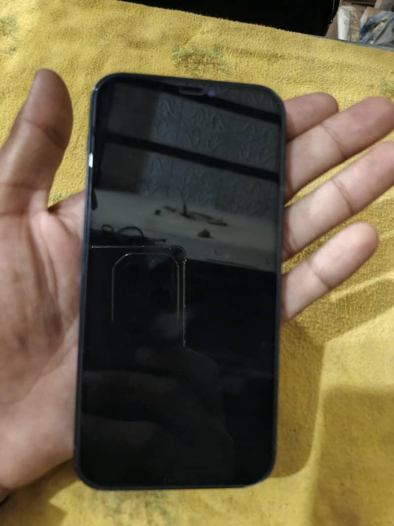 Apple iPhone 12 1