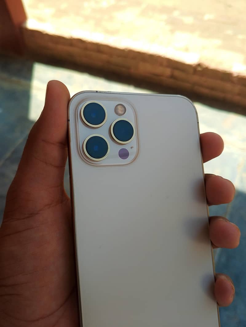 Apple iPhone 12 Pro Max 1