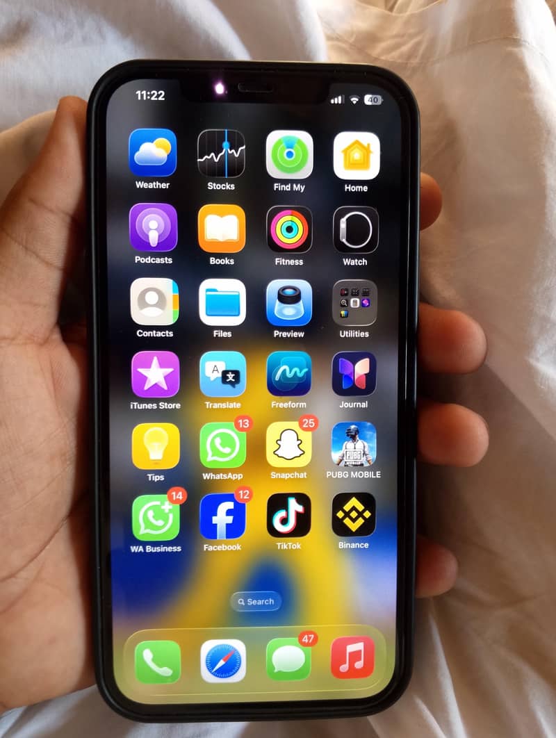 Apple iPhone 12 Pro Max 5