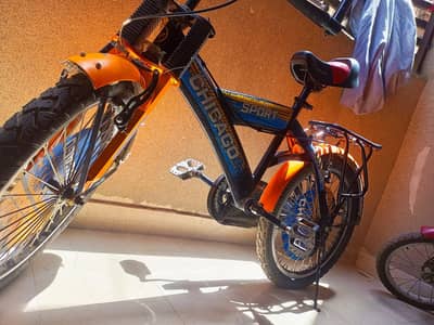 Chicago Sport Bicycle