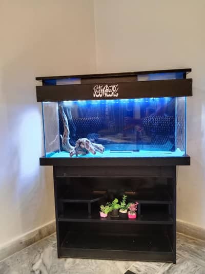 Premium Glass Aquarium Setup with Cabinet