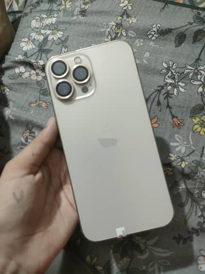 Apple iPhone 13 Pro Max