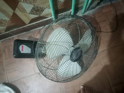 Royal fan