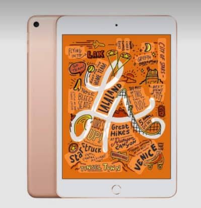 Need ipad mini 5
