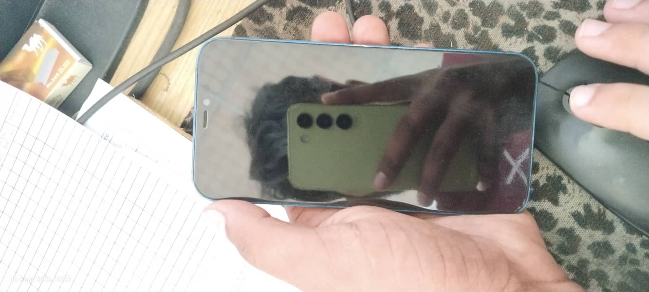 Apple iPhone 12 1