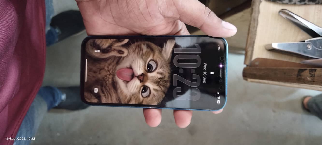 Apple iPhone 12 2