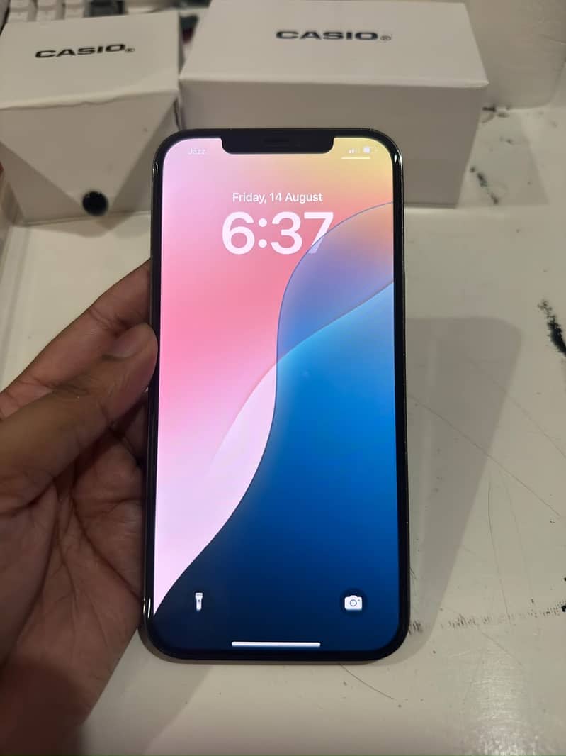 Apple iPhone 12 Pro Max 1